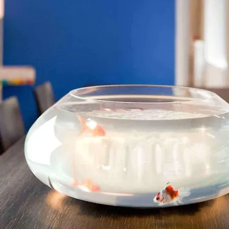 Ibis Styles Malo Centre Historique Hotell Saint-Malo
